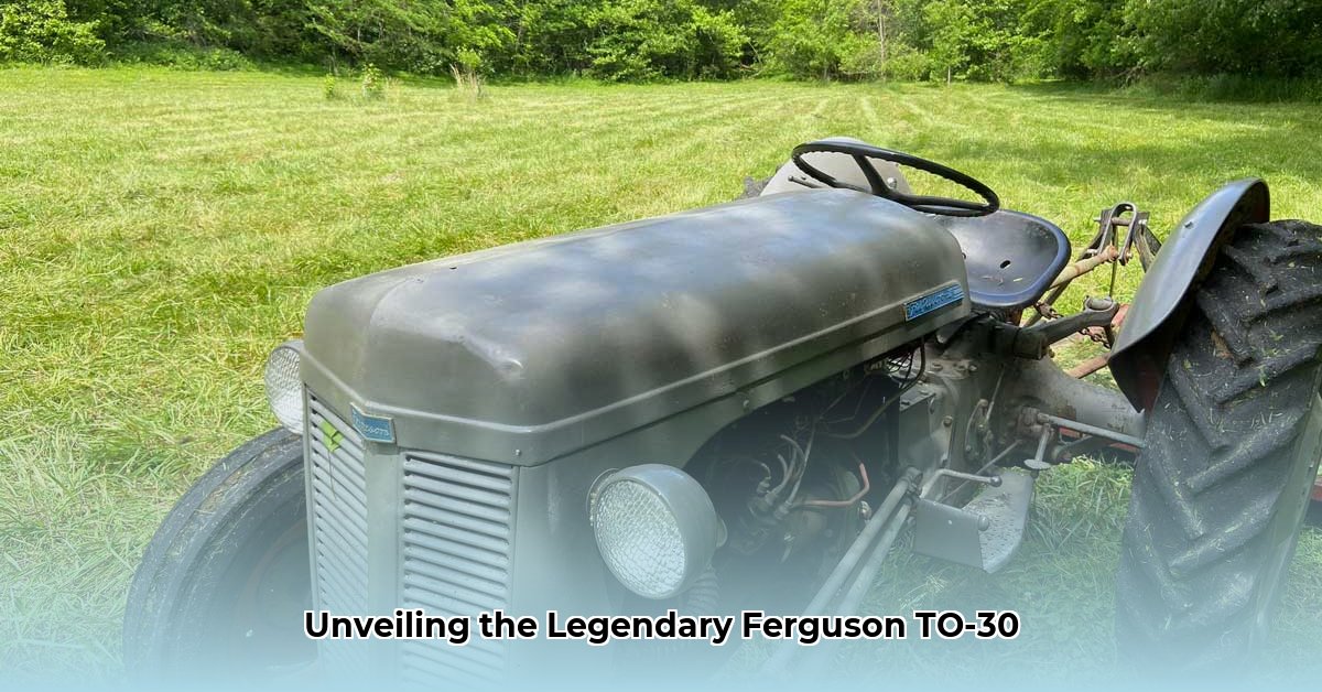 ferguson-to30-tractor